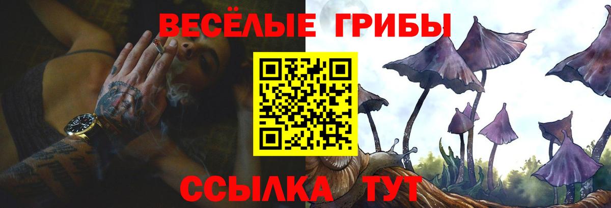 Орск  Псилоцибиновые грибы MAGIC MUSHROOMS  Вход с VPN 